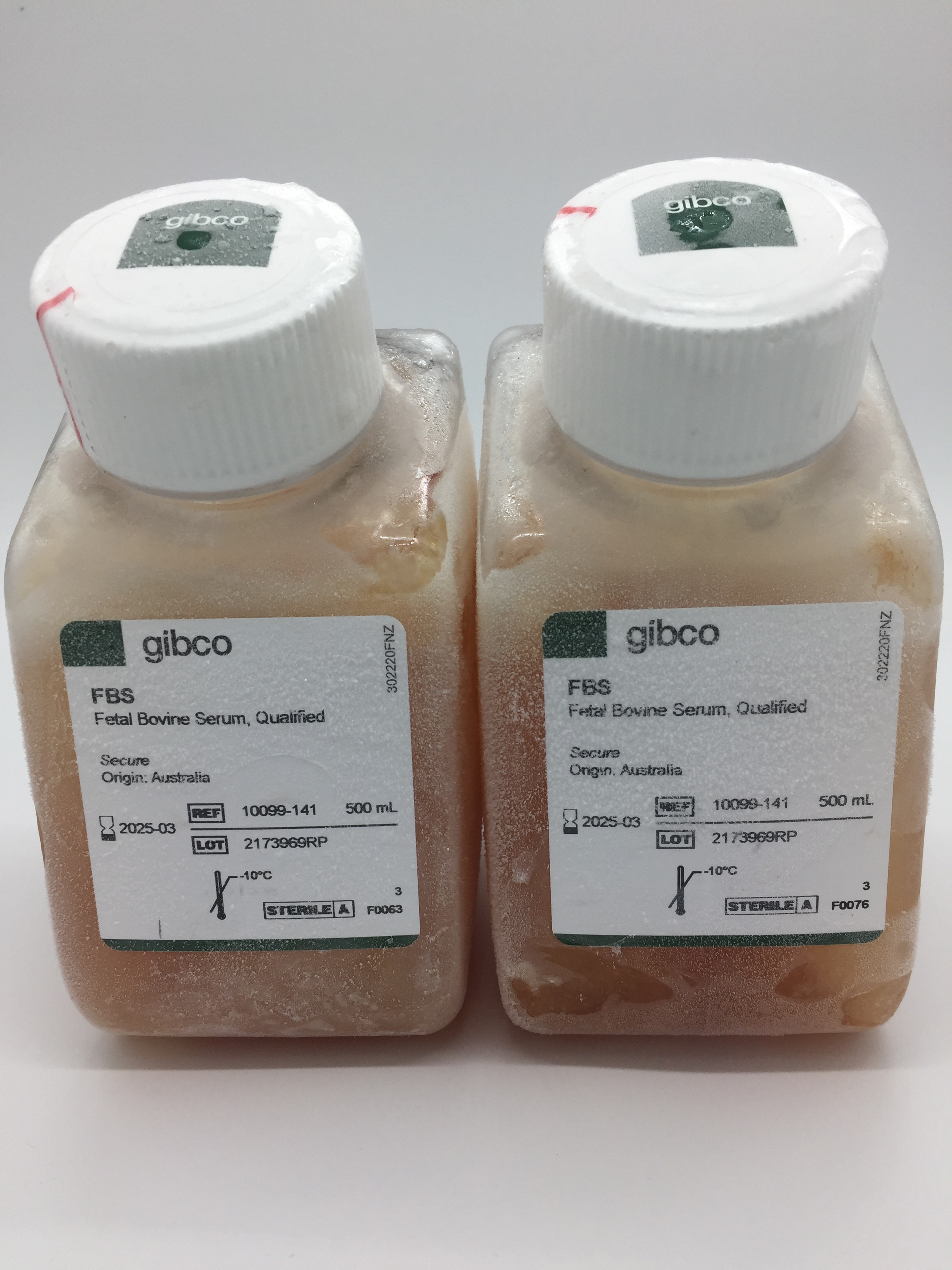 Gibco胎牛血清(澳洲血源) 货号：10099-141